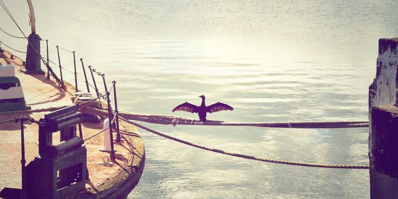 Zibo Taikun引领创新：氧化铝陶瓷等纳米陶瓷材料的制备技术与广阔应用前景