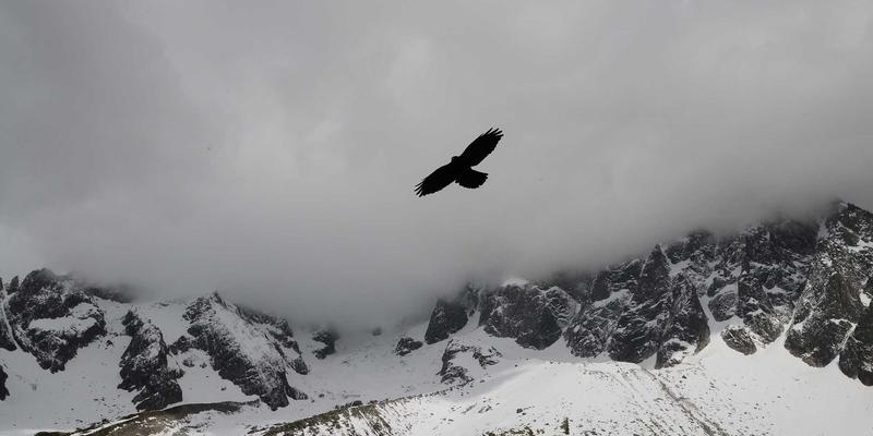 从结构陶瓷到功能陶瓷：工业陶瓷材料的创新前景与应用蓝图