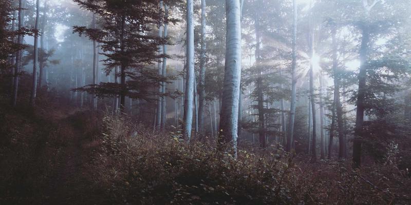 功能陶瓷与工业陶瓷深度解析:为何氧化锆陶瓷成为尖端制造的首选材料