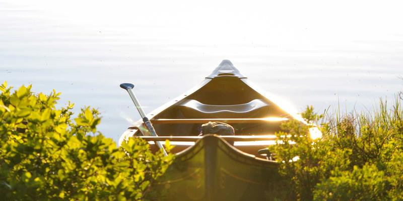 功能陶瓷新突破：氧化锆增韧氧化铝陶瓷在人工关节领域的表面改性研究进展 | 淄博泰坤工业陶瓷