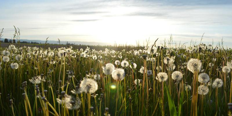 结构陶瓷、工业陶瓷与功能陶瓷：三大陶瓷材料的特性与应用全景
