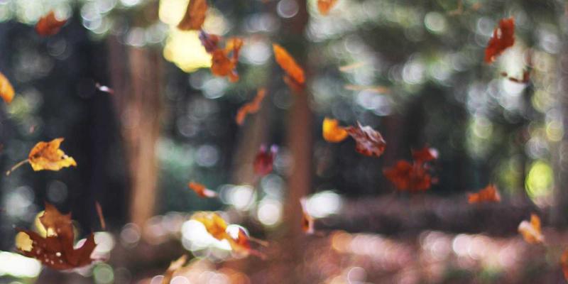 陶瓷涂层在锂电池隔膜中的热稳定性提升策略：氧化铝与结构陶瓷的应用前景